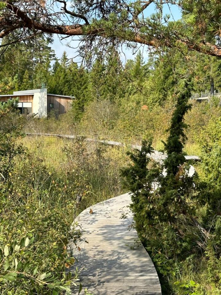 Maven Kustnaera Stugor Kappelshamn Exterior photo
